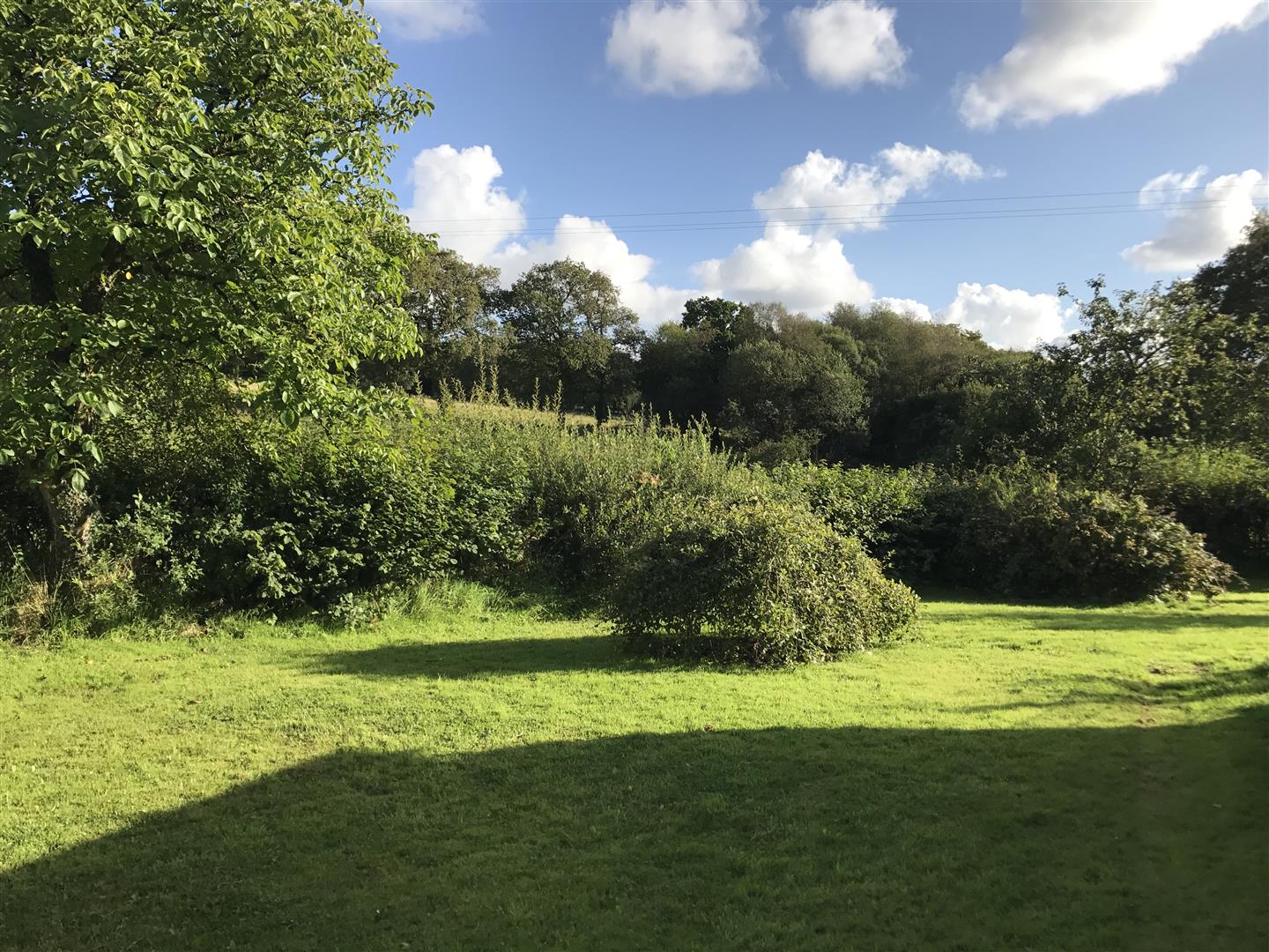 GROUNDS
